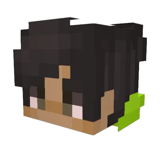 Peertje_Power Minecraft avatar head, 3D render
