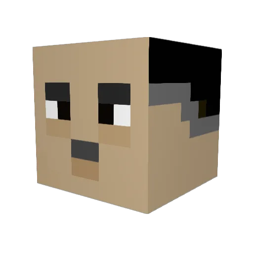 Peet1334 Minecraft avatar head, 3D render