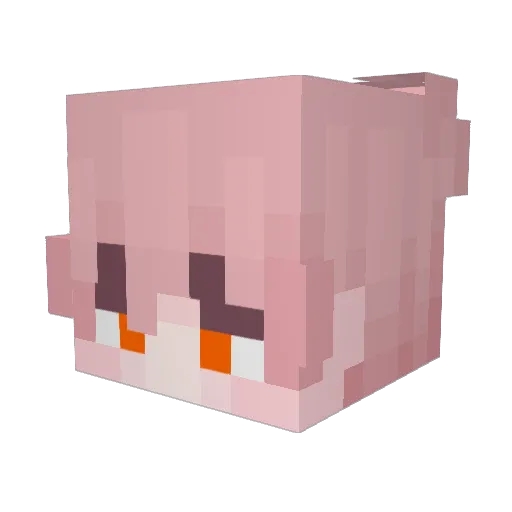 Peeweeak Minecraft avatar head, 3D render