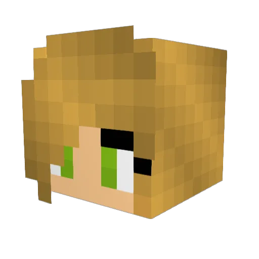 Pegacorn053 Minecraft avatar head, 3D render