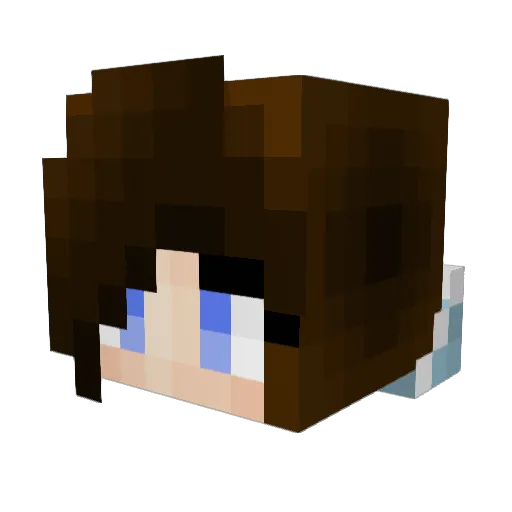 Pegacorn1210 Minecraft avatar head, 3D render