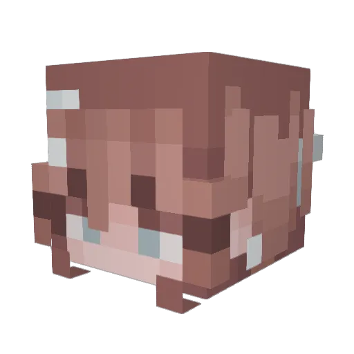 PegasusGod Minecraft avatar head, 3D render