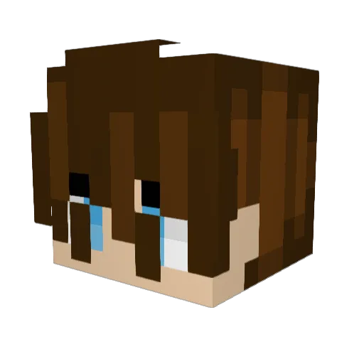Pegasusd Minecraft avatar head, 3D render