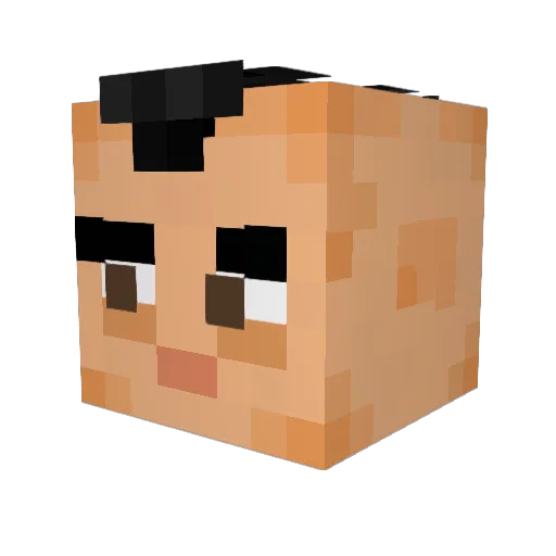 Pegasuus Minecraft avatar head, 3D render
