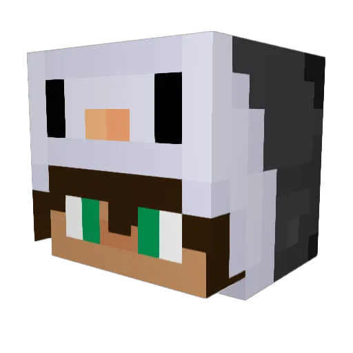Peggwing Minecraft avatar head, 3D render