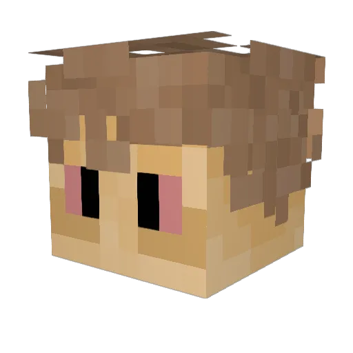 Pegi911 Minecraft avatar head, 3D render
