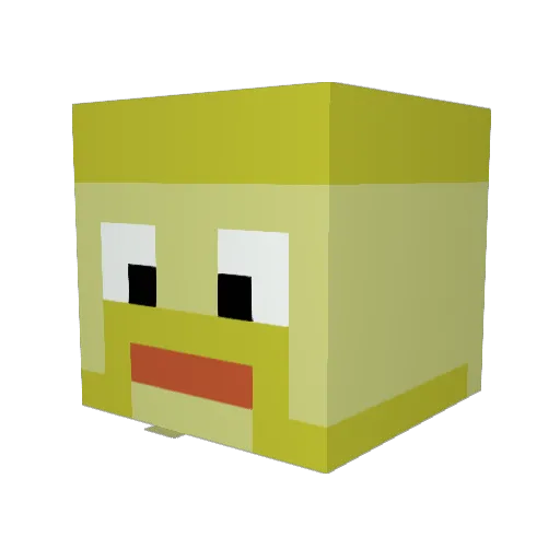 Pegleg22 Minecraft avatar head, 3D render