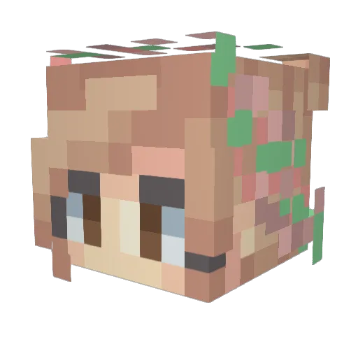 Pegum Minecraft avatar head, 3D render