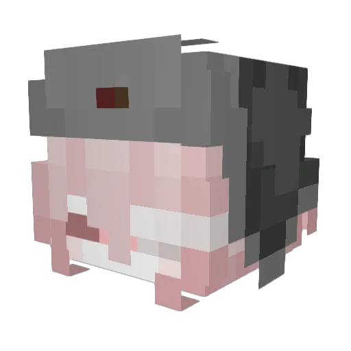 Pei_uwu Minecraft avatar head, 3D render