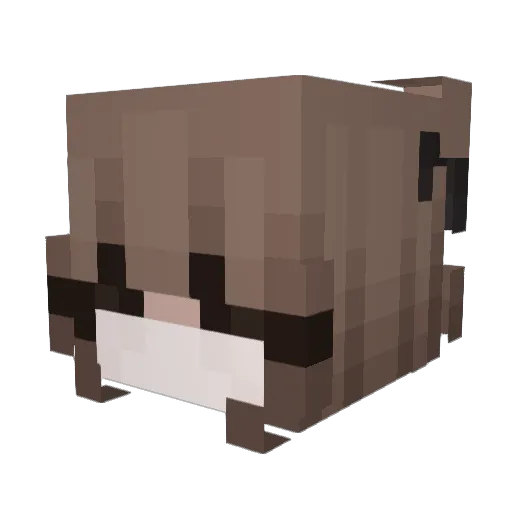 Peinguinqueen23 Minecraft avatar head, 3D render