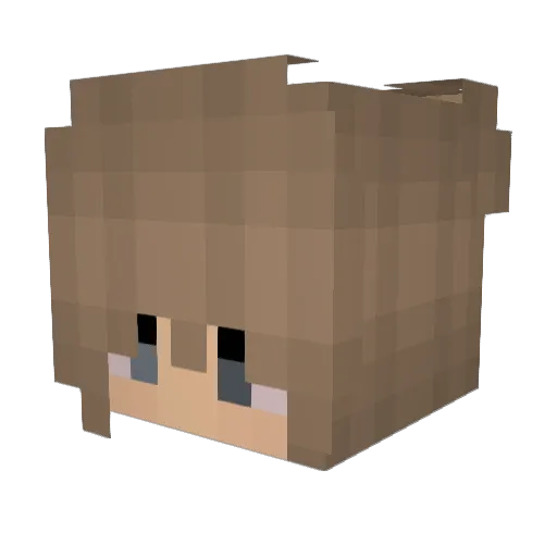 Peinliche Minecraft avatar head, 3D render