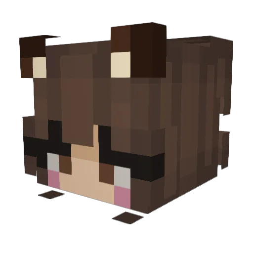 Pejamino Minecraft avatar head, 3D render