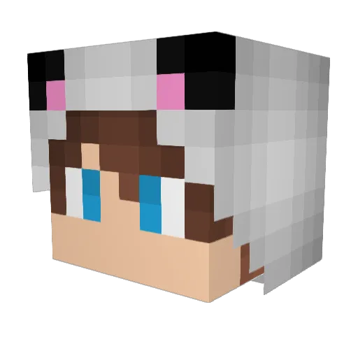 PekeLyA Minecraft avatar head, 3D render