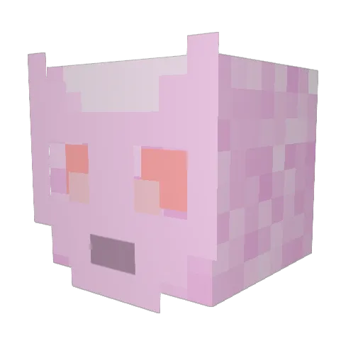 Pekenbock Minecraft avatar head, 3D render