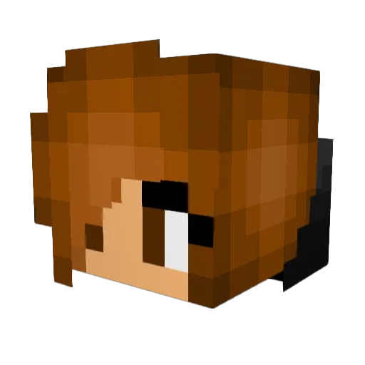 Peketroon Minecraft avatar head, 3D render