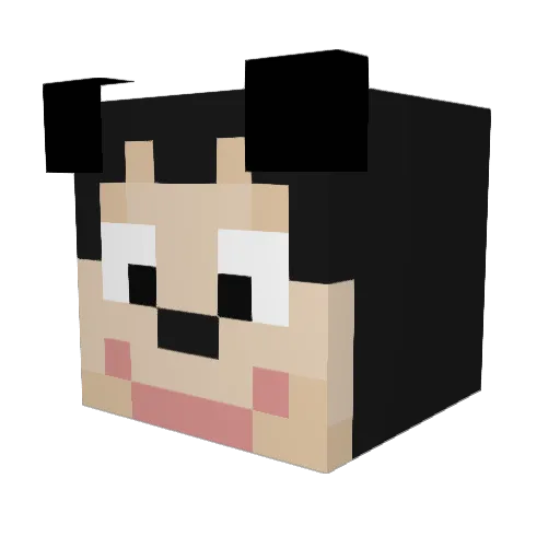 Pekkaro Minecraft avatar head, 3D render