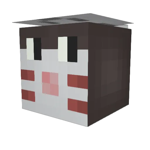 PelaoBetis Minecraft avatar head, 3D render