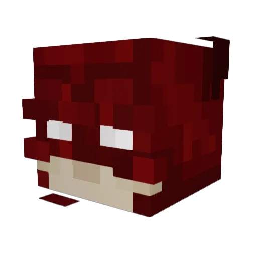 Peleg_Yahav Minecraft avatar head, 3D render