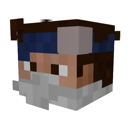 Pelican1204 Minecraft avatar head, 3D render