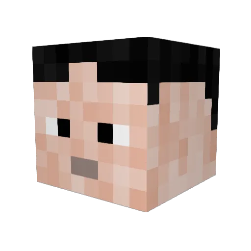 Pelican_Furtif Minecraft avatar head, 3D render