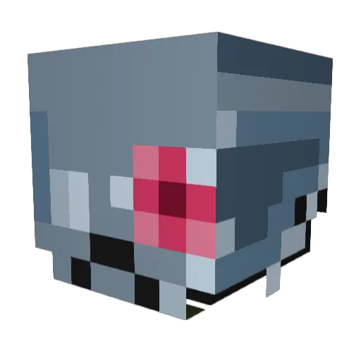 Pelicannon Minecraft avatar head, 3D render