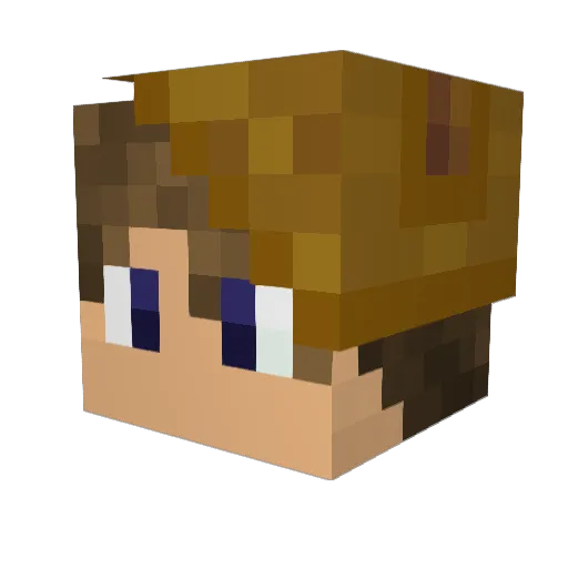 Pelife13_ Minecraft avatar head, 3D render
