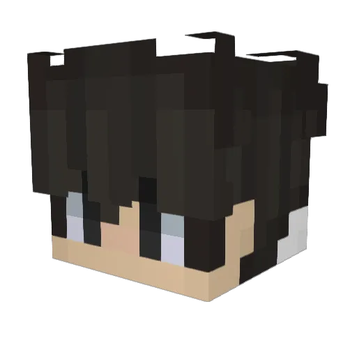 Pelixell Minecraft avatar head, 3D render