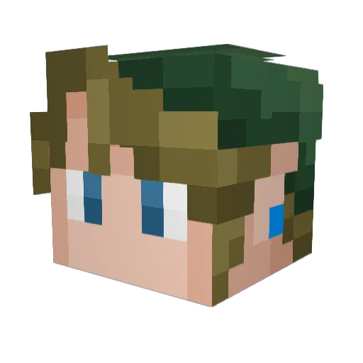 Pelle13373 Minecraft avatar head, 3D render