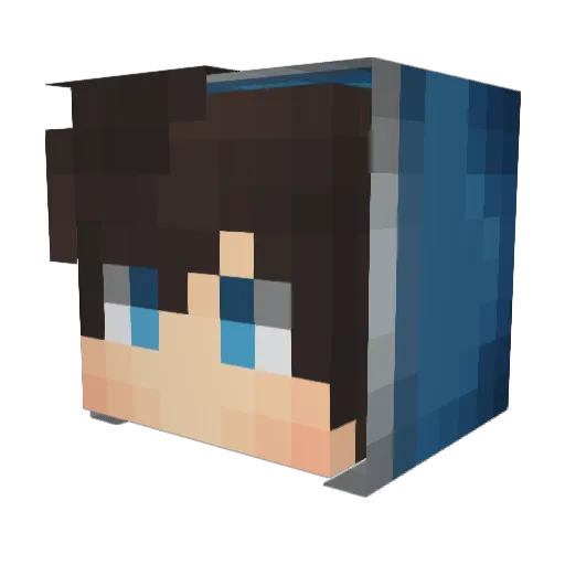PelleE Minecraft avatar head, 3D render