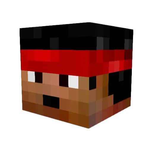 Pelle_Poika Minecraft avatar head, 3D render