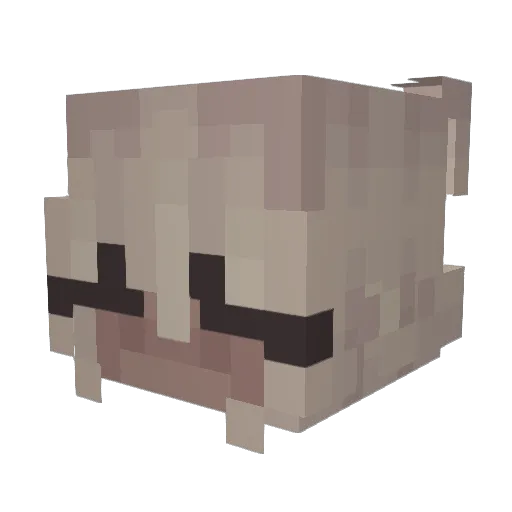 PellenPlayMC Minecraft avatar head, 3D render