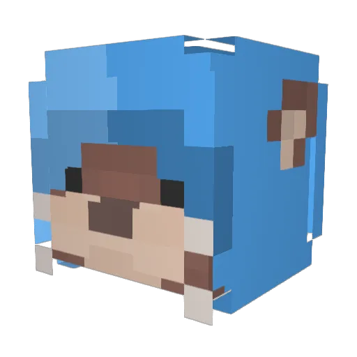Pellowcase Minecraft avatar head, 3D render