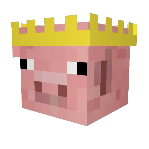 Pellusen1 Minecraft avatar head, 3D render