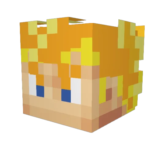 Pelotes Minecraft avatar head, 3D render