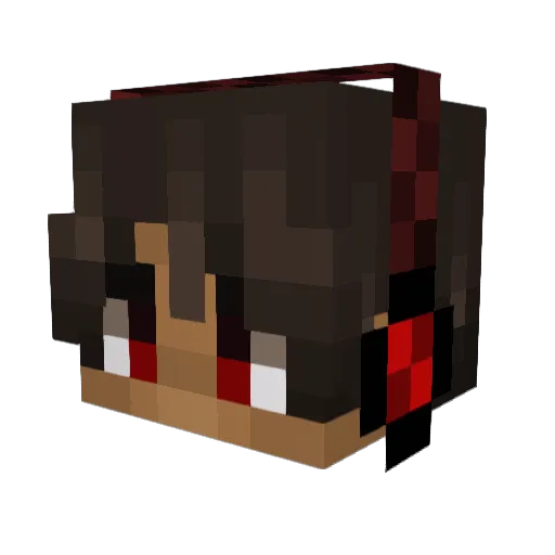 Pelotonix Minecraft avatar head, 3D render