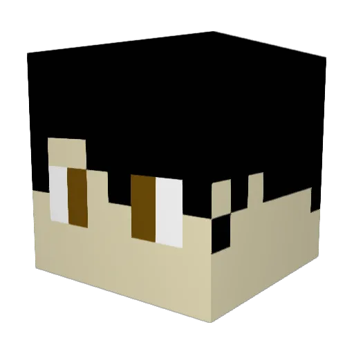 Peluca_25 Minecraft avatar head, 3D render