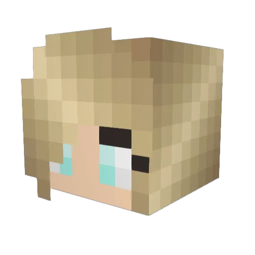 Pelusios Minecraft avatar head, 3D render