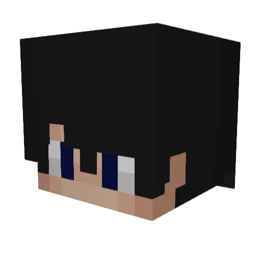 PelzigerWolf Minecraft avatar head, 3D render