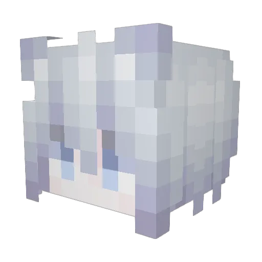 Pem_Pen_ Minecraft avatar head, 3D render