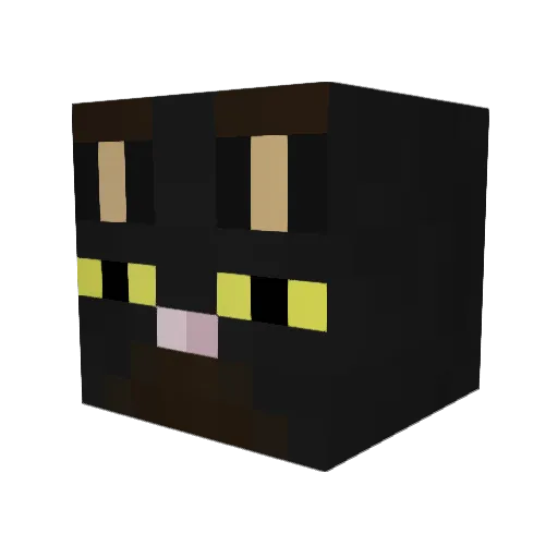 Pen1800 Minecraft avatar head, 3D render