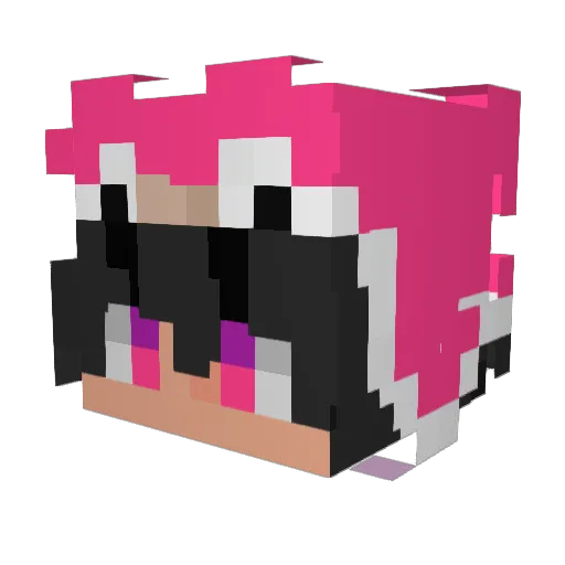 Pen9uinz Minecraft avatar head, 3D render