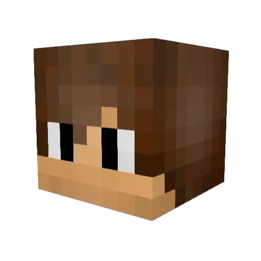 PenTraDoXx Minecraft avatar head, 3D render