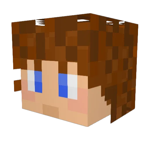 Penboyig Minecraft avatar head, 3D render
