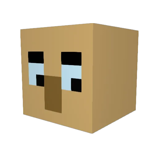 Pencilparry Minecraft avatar head, 3D render