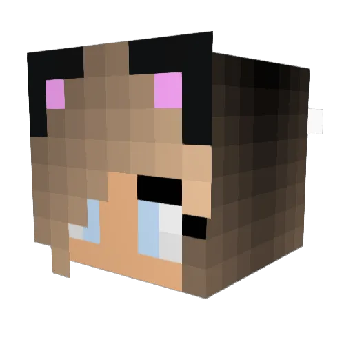 Penelope41206 Minecraft avatar head, 3D render