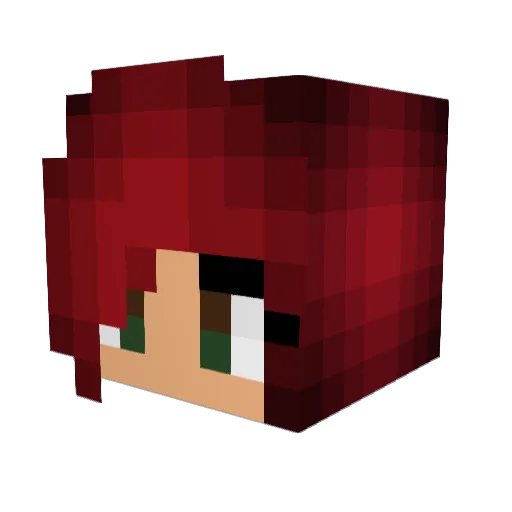 PengBirdBruv Minecraft avatar head, 3D render
