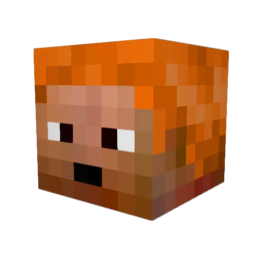 PengPara Minecraft avatar head, 3D render