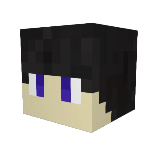 PengPeng3g Minecraft avatar head, 3D render