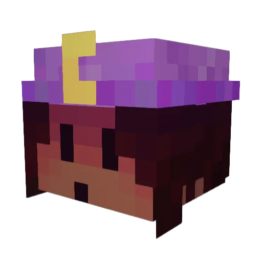 Pengibon Minecraft avatar head, 3D render