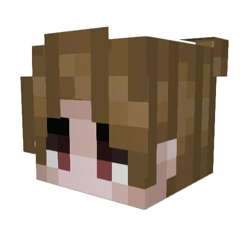 Pengiimax Minecraft avatar head, 3D render